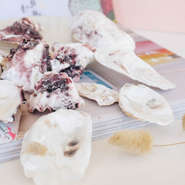 White and Purple Rustic Oyster Shells - 1 Kg